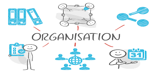 Fonctionnement des organisations